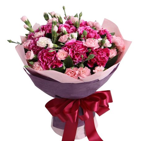 母爱----紫红色康乃馨12枝，搭配多头粉康7枝