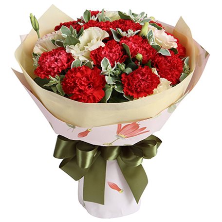 妈妈的爱----红色康乃馨16枝香槟色桔梗